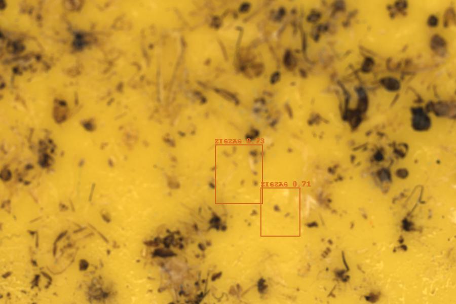Image 10